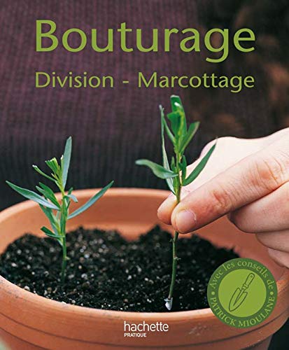 Bouturage, division, marcottage
